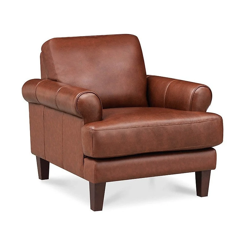 Austra Genuine Leather Accent Chair