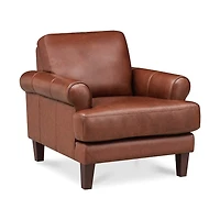 Austra Genuine Leather Accent Chair