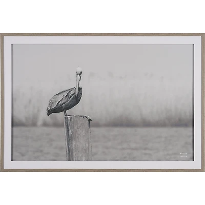 Pelican Stories Framed Art Print