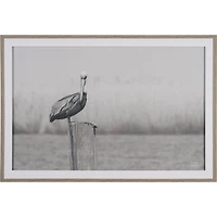 Pelican Stories Framed Art Print