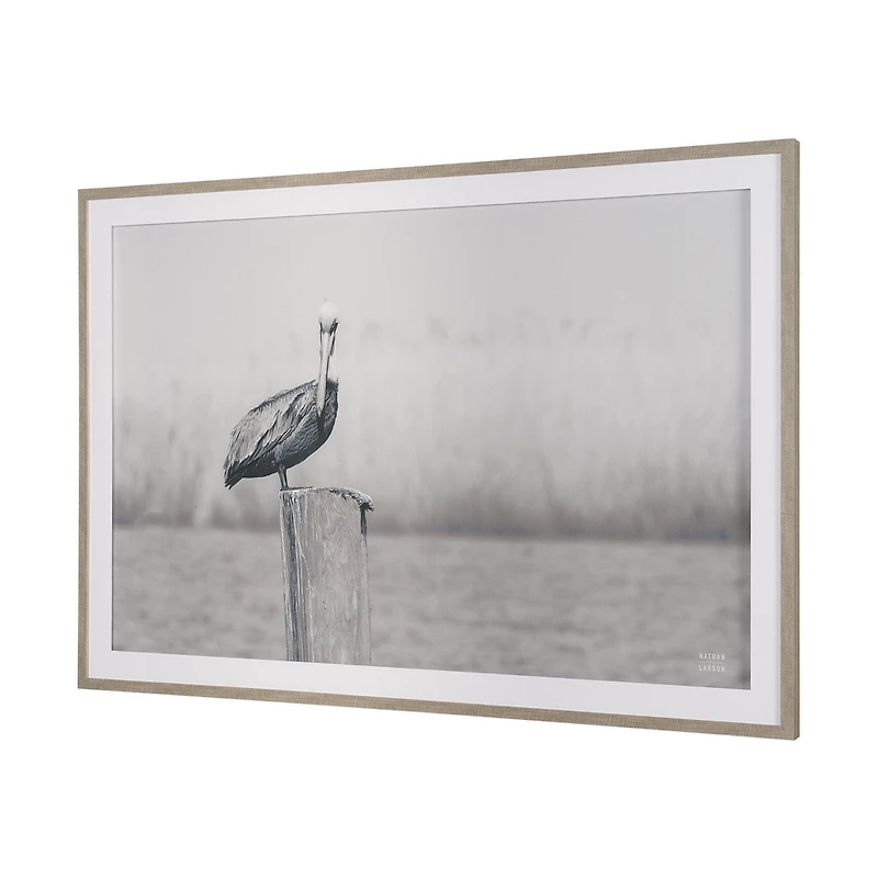 Pelican Stories Framed Art Print