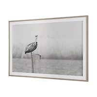 Pelican Stories Framed Art Print