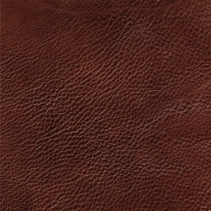 Jammie Genuine Leather Chair