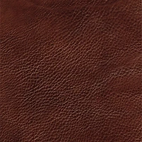 Jammie Genuine Leather Chair