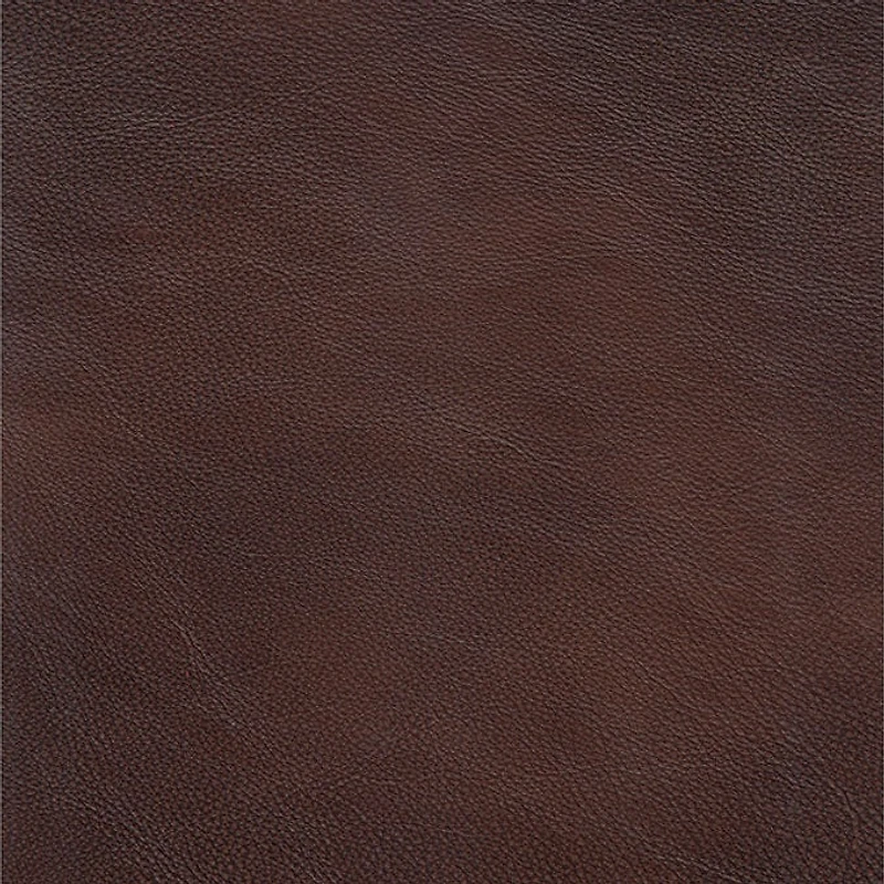 Nolan Genuine Leather Accent Chair