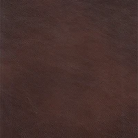 Nolan Genuine Leather Accent Chair