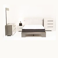 Benson Grey/ Brown Glossy Finish King Bed no storage