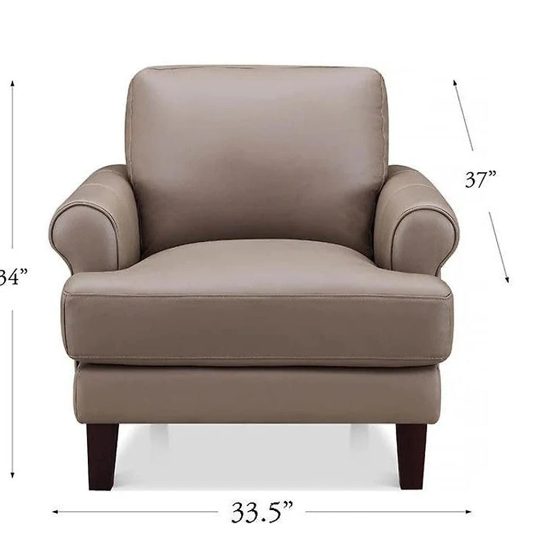 Austra Genuine Leather Accent Chair