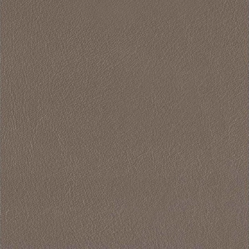 Austra Genuine Leather Accent Chair