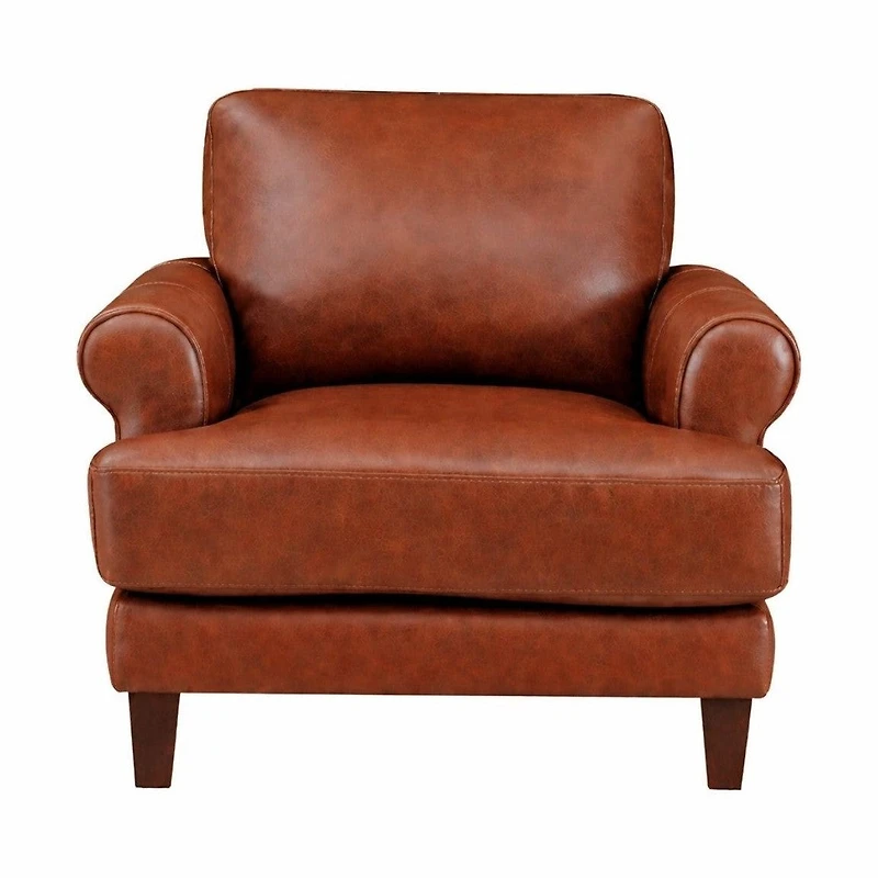 Austra Genuine Leather Accent Chair