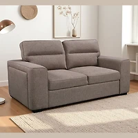 Varelle 2-Seater Sleeper Sofa
