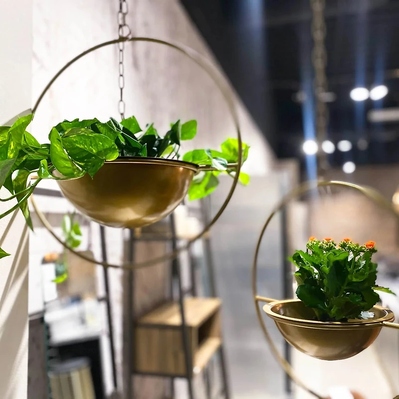 Grainhouse Wind & Fire Hanging Pots (Set of 2)