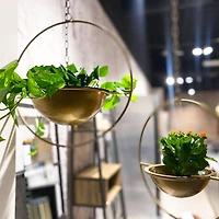 Grainhouse Wind & Fire Hanging Pots (Set of 2)