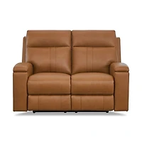 Hanley Zero Gravity Genuine Leather Power Reclining Loveseat
