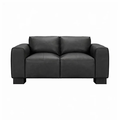 Nerio Top-Grain Leather Loveseat