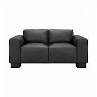 Nerio Top-Grain Leather Loveseat