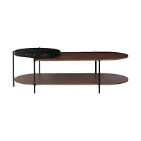 Kobbo Metal Mango Wooden Coffee Table