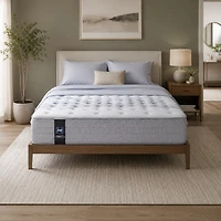 Sealy® Massimo 11.5" Mattress