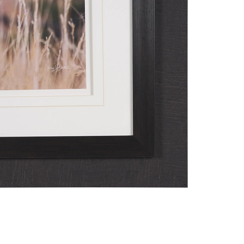 Stop Horsing Around Framed Art Print Matted under Glass