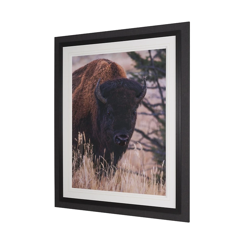 Stop Horsing Around Framed Art Print Matted under Glass