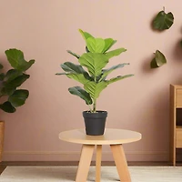 Fiddle Leaf Fig Faux Plant 50cm/ 19.7"