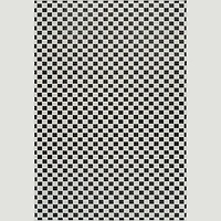 Aurora Black Checkered Rug