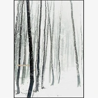 Whistler Set of 5 Alloy Matt - Black Frame Wall Art