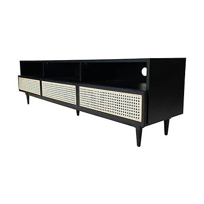 Cane Media Unit
