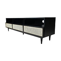 Cane Media Unit