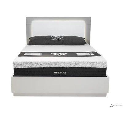 Patricia King Bed With Lift Up Storage - Two Tone
