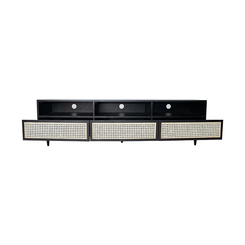 Cane Media Unit