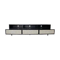 Cane Media Unit