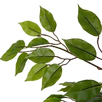 Ficus Tree Faux Plant 170cm/ 67"