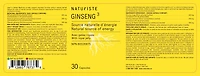GINSENG 3