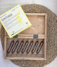 GINTONIK