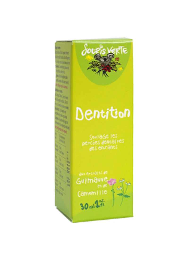 DENTITION