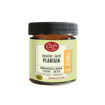 CLEF DES CHAMPS ONGUENT PLANTAIN DEMANGEAISON 15ML
