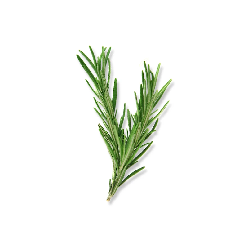 ROSEMARY