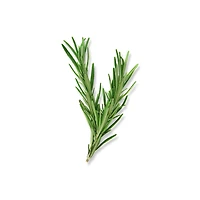 ROSEMARY