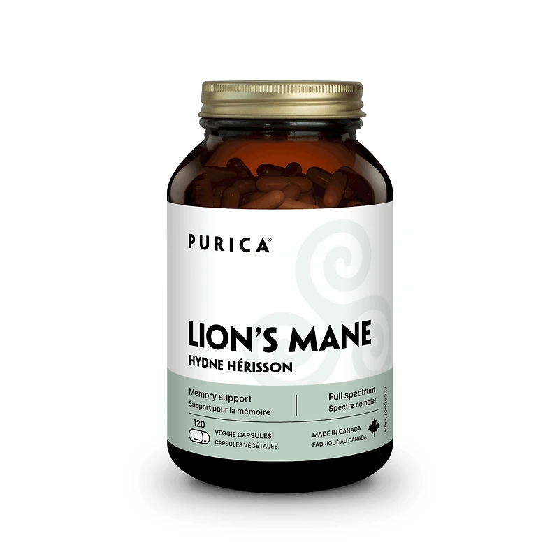 Lion's Mane