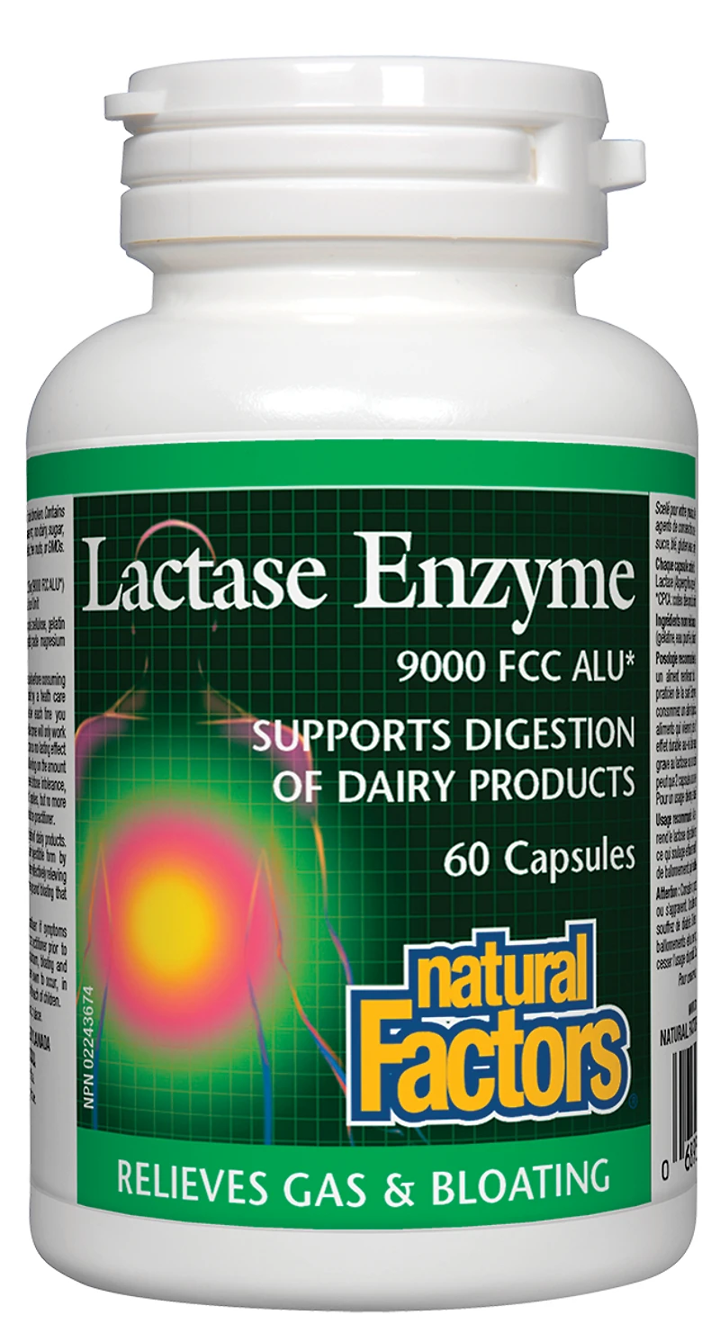 Lactase Enzyme