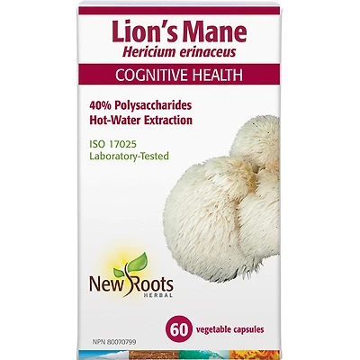 Lion’s Mane Hericium erinaceus