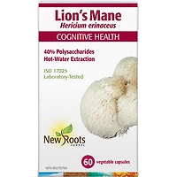 Lion’s Mane Hericium erinaceus