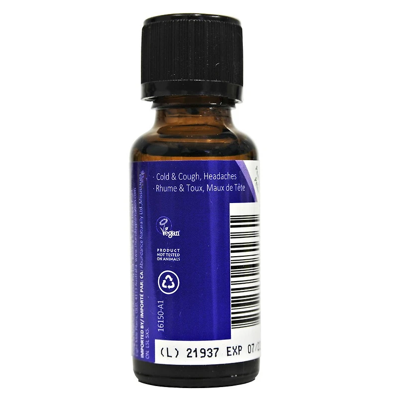 Lavender Oil 100% Pure
