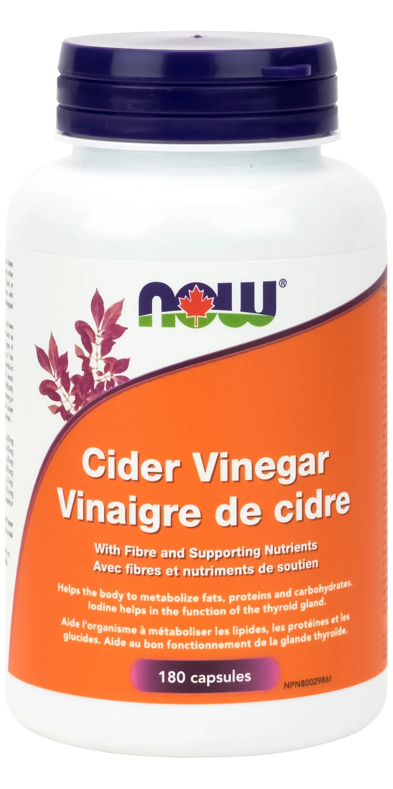 Cider Vinegar Diet Factors