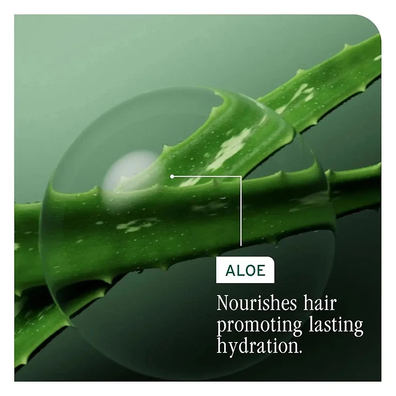 HydraSource Shampoo