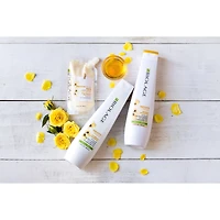 SmoothProof Shampoo