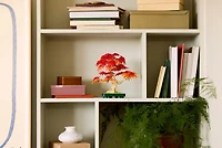 LEGO® Japanese Red Maple Bonsai Tree