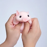 Pinch Family: Taba Animals Super Squishy Toys Mystery Box