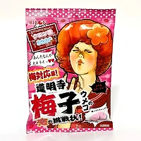 RIBON Sour Challenge! Plum Sour Candy - 60g
